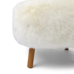 Ethan Loungestol