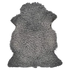 Lammeskind | Korthåret, krøllet | Gotland | 90-100x60 cm