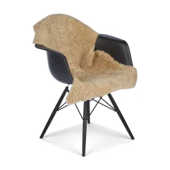 Lammeskind | Korthåret Krøllet | New Zealand | Tæppe 100 cm