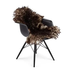 Lammeskind | Krøllet | Østrig | 90x60 cm