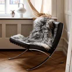 Lammeskind | Langhåret | Island | 120+x60 cm