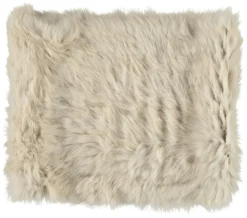 Lydia Collar